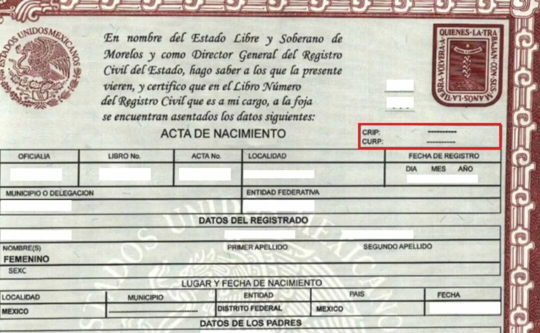 El gobierno federal ha simplificado este trámite, permitiendo que se realice de manera digital / Foto: Especial