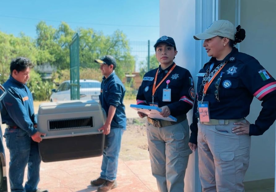 Elementos de la Dirección de Seguridad Pública brindaron auxilio de transporte a una vecina de la comunidad de Capula y a su fiel compañero. Foto Especial