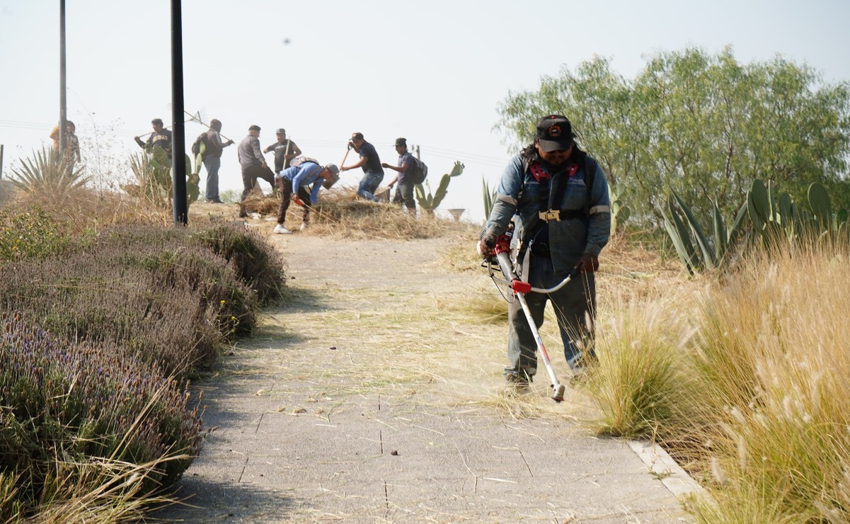 En las tareas de rescate del Parque de la Ciencia Tlalnepantla participan más de 500 personas servidoras públicas de diversas instituciones. Foto: Especial