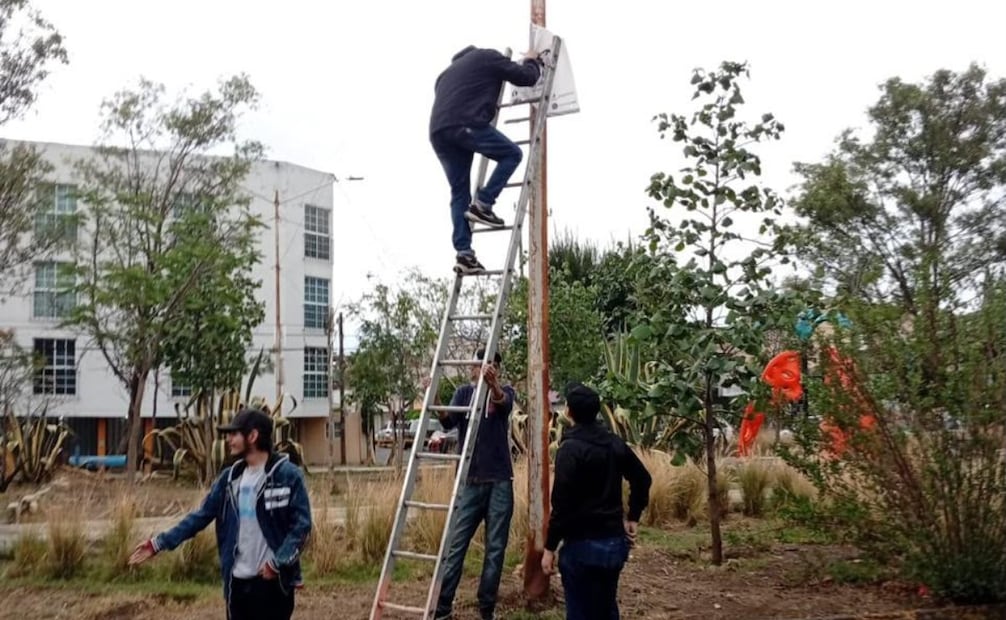 Elementos del equipamiento urbano que por disposición del Bando Municipal deben permanecer libres de anuncios. Foto Especial