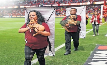Aficionados del Toluca suman goles por el bienestar animal