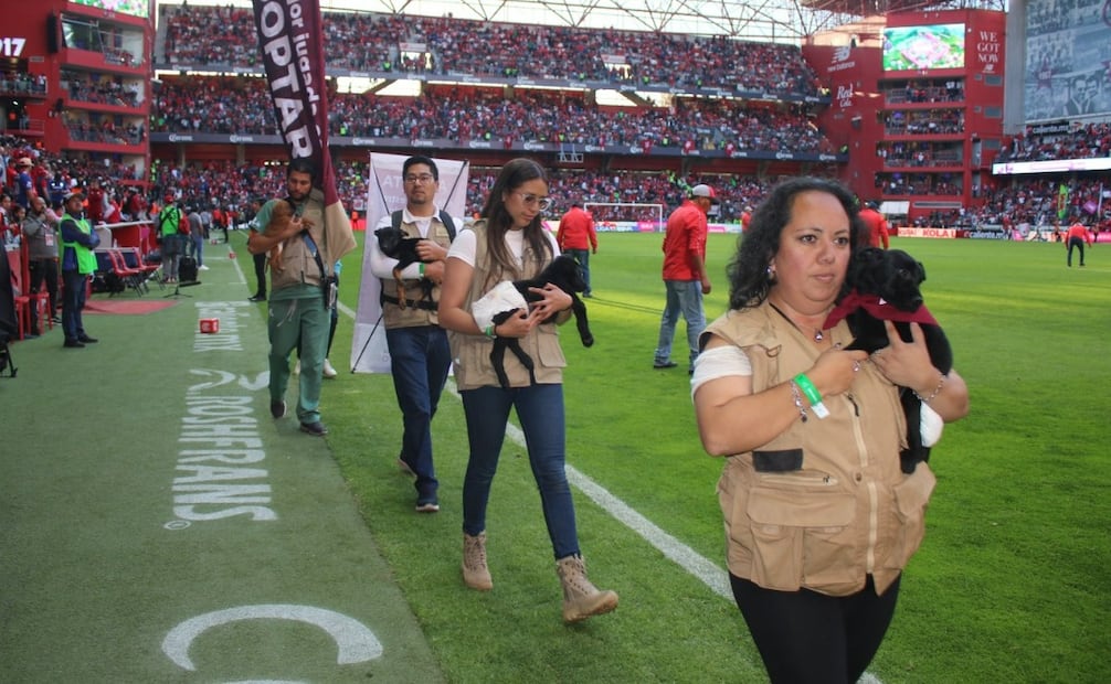 El módulo de adopción estará ubicado en las inmediaciones del "Infierno" antes del pitazo inicial. Foto Especial