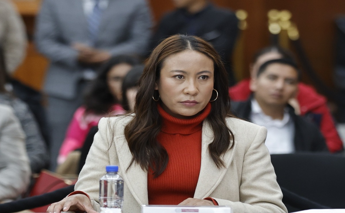Diputada Leticia Mejía García / Foto Especial