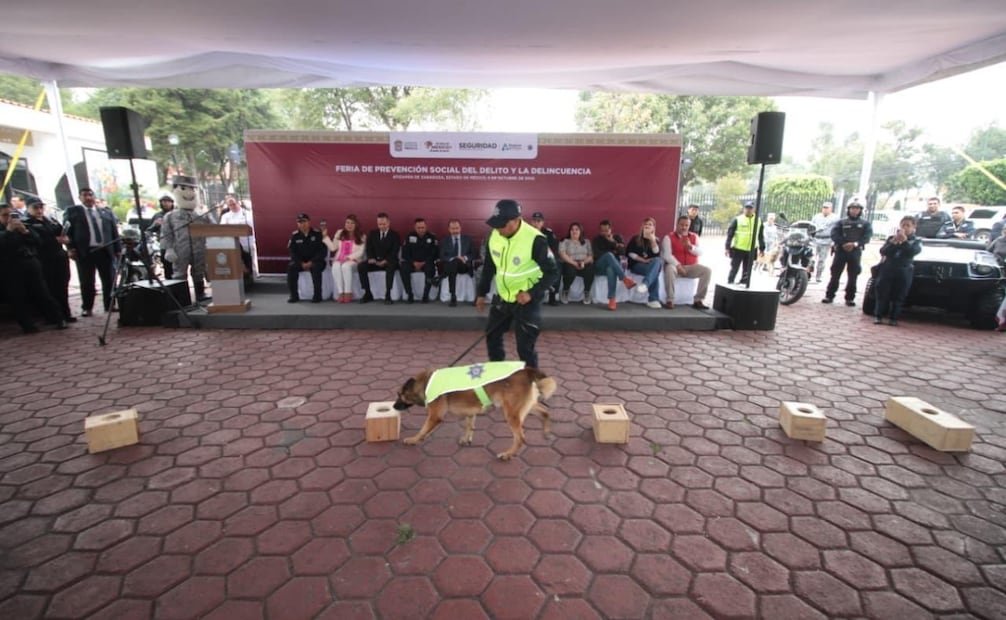 Los binomios caninos captaron la atención de los asistentes con demostraciones de sus habilidades operativas. Foto Especial