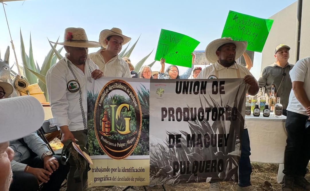Familias de Ixtapaluca preservan la técnica del Agave salmiana, conocimiento transmitido por generaciones desde la época prehispánica. Foto Especial