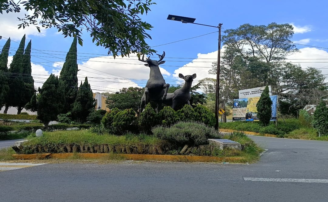 8 millones de pesos es la inversión para la primera etapa del proyecto / Foto Gisela González