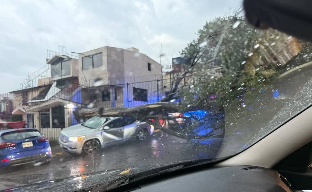 Vecinos y automovilistas de Naucalpan reportaron afectaciones, incluyendo la caída de un árbol en la zona de Lomas Verdes debido a los fuertes vientos. Foto Especial