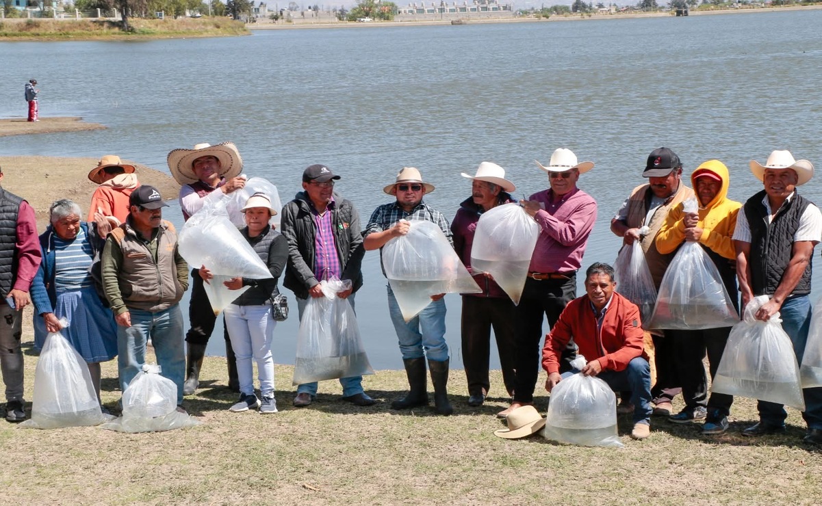 En Ixtlahuaca, se han implementado acciones significativas para fortalecer la acuicultura local. Foto: Especial