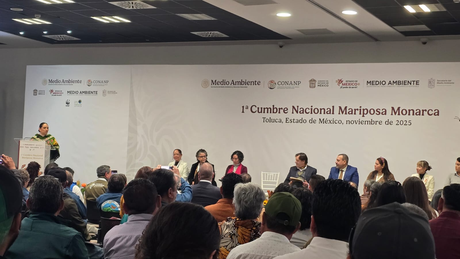 Acciones para resguardar la ruta migratoria de la monarca.