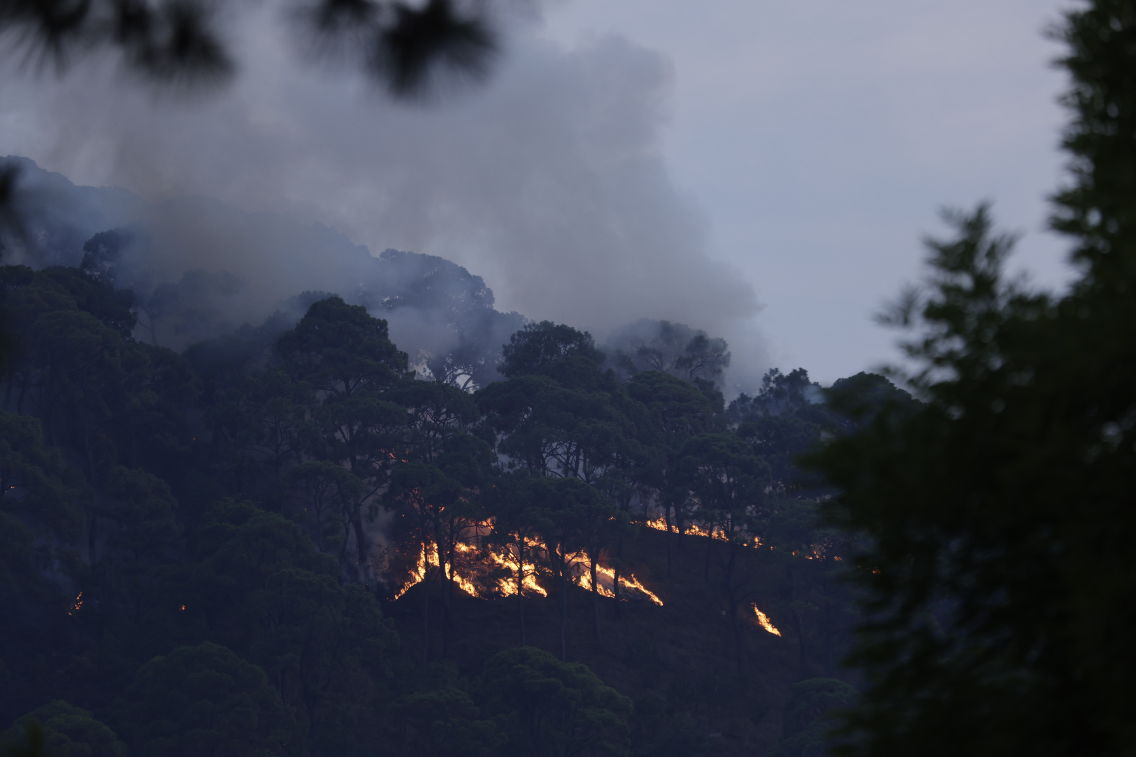 Las quemas controladas que no tienen supervisión se convierten en el segundo factor de incendios. Foto: Jorge Alvarado / EL UNIVERSAL Edomex
