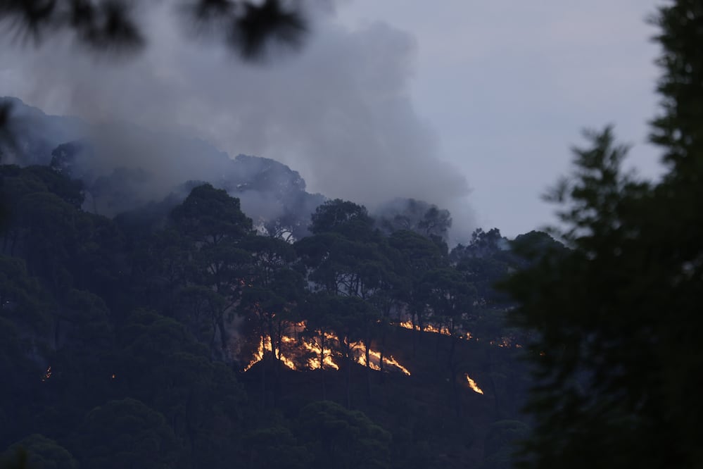 Se prevé un aumento de incendios forestales para 2025 en el Edomex. Foto: Jorge Alvarado / EL UNIVERSAL Edomex
