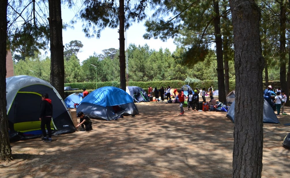 Durante el campamento, los asistentes podrán participar en actividades relacionadas con la fauna y la naturaleza. Foto especial