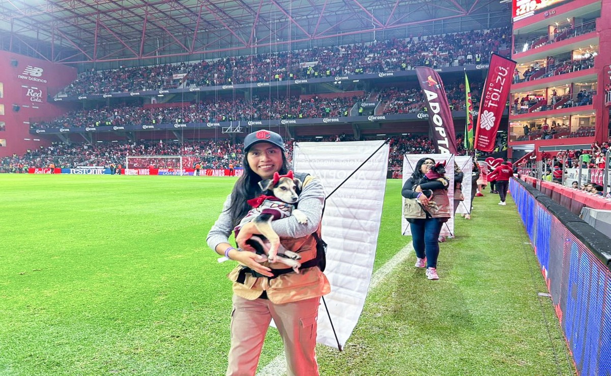 El Estadio Nemesio Diez fue sede de la jornada de adopción de los lomitos en el arranque del Apertura 2025 de la Liga MX. Foto: Especial