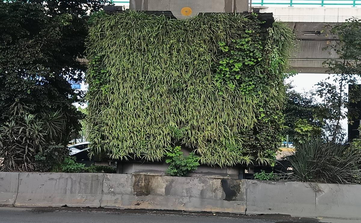 Las “columnas verdes” fueron instaladas en los pilares del tramo que va de la Calle Hormona al Toreo en el Segundo Piso del Periférico. Foto: Arturo Hernández/ El Universal Estado de México