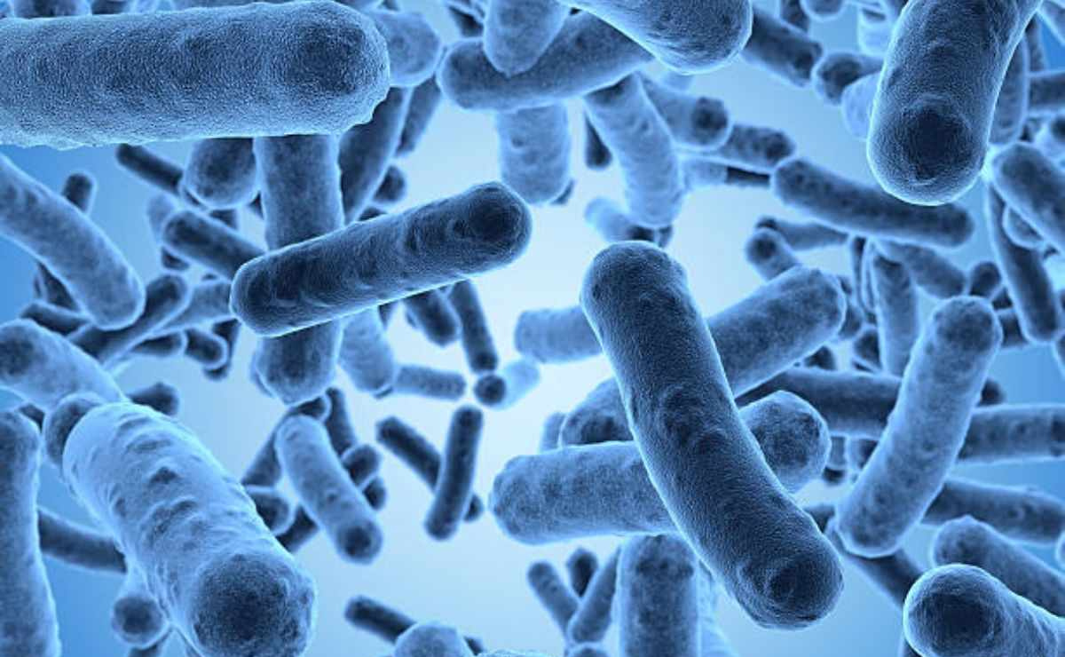 Brote de Klebsiella oxytoca: 13 Niños pierden la vida en Hospitales del Edomex