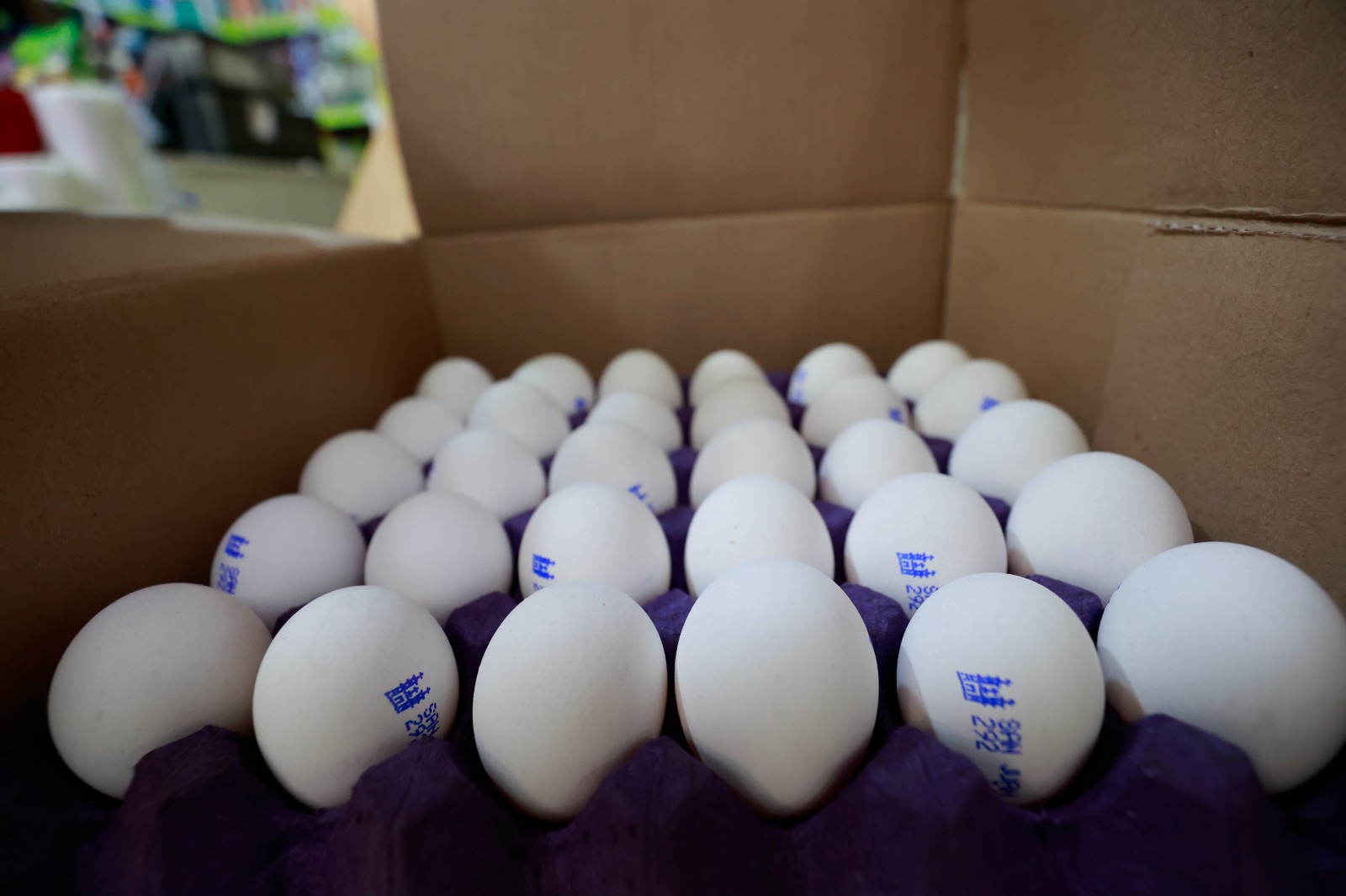 El huevo es uno de los productos que más ha incrementado su costo. Foto Alejandro Vargas