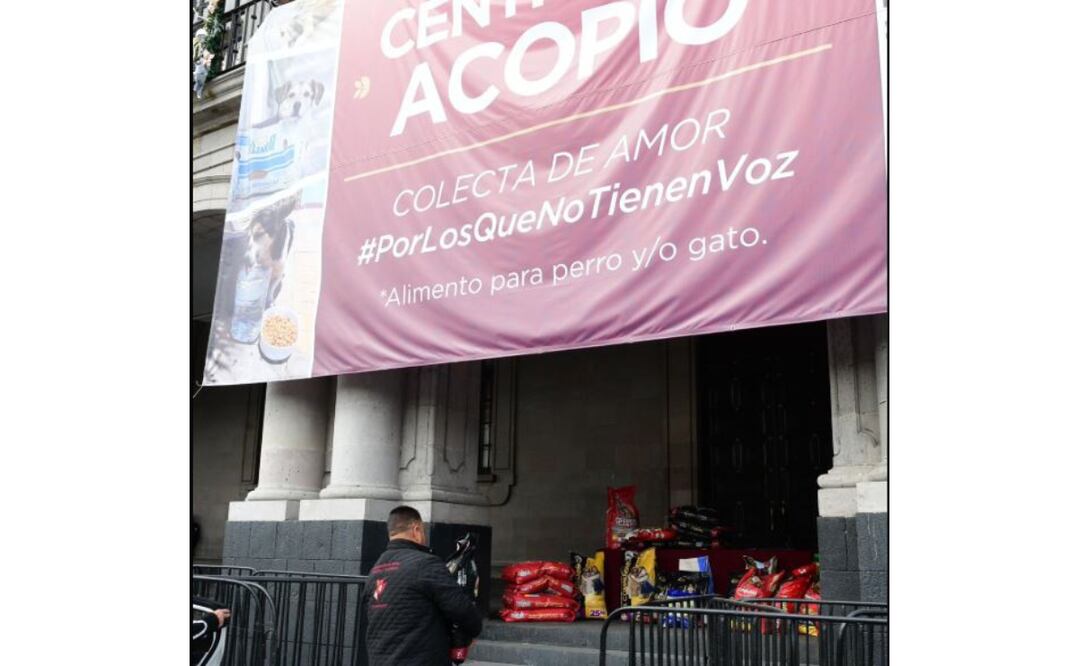 Centro de Acopio de Bienestar Animal en Toluca, Palacio de gobierno / Foto: Especial