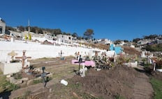 ¡Adiós a los ataúdes de metal! Llegan "cementerios verdes" al Edomex: lo que debes saber del nuevo decreto