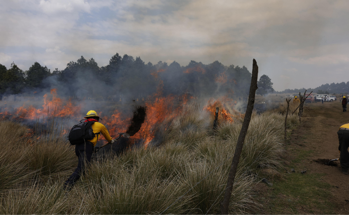 El reporte de Probosque detalla la ubicación de los cuatro incendios forestales en combate en el Edomex. Foto: Arturo Hernández