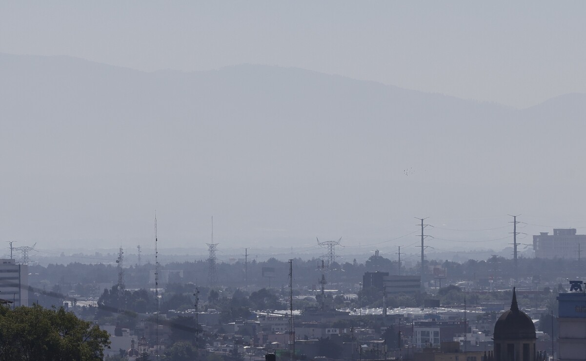 El especialista informó que, hasta el corte de las 12:00 horas del 11 de marzo, el índice en la calidad del aire oscila entre regular y mala. Foto: Jorge Alvarado