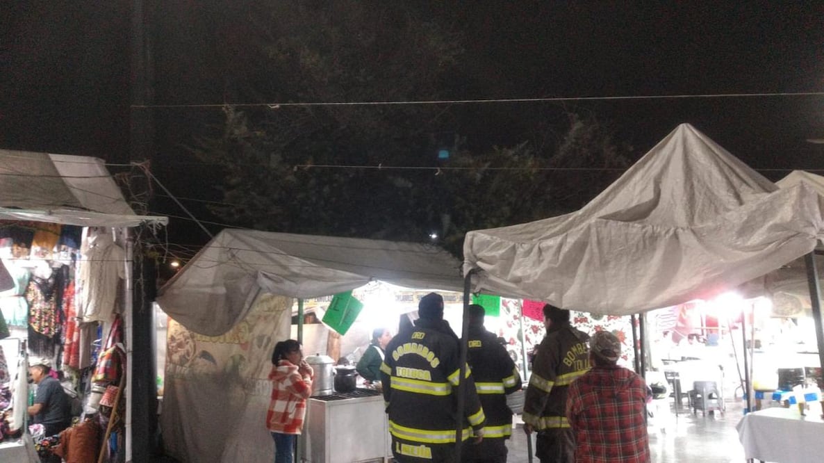 Elementos de Protección Civil acuden a la zona para evaluar daños, retirar árboles y atender a personas con crisis nerviosa. Foto Especial