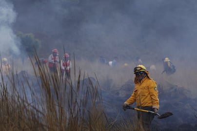 Edomex reduce incendios forestales 75% durante el primer bimestre de 2025