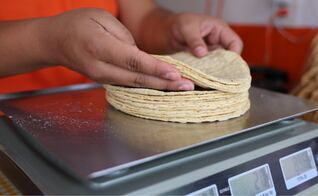 ¡Buenas noticias! Desmienten aumento a la tortilla: "El maíz está más barato que nunca"