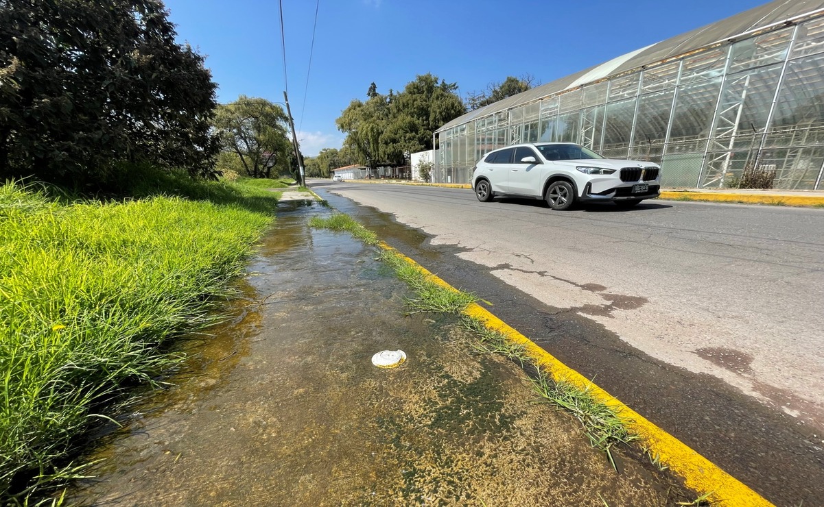 Los ciudadanos sienten que las acciones de las autoridades son insuficientes / Foto Michelle Sánchez