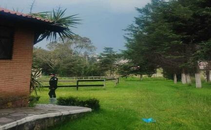 Hombre muere al intentar espantar colmena de avispas