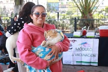 Edomex emite norma para control y bienestar animal