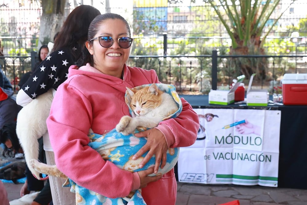Por primera vez, se evaluará si los municipios ofrecen terapia de apoyo emocional al personal que lidia diariamente con casos de crueldad animal. Foto Alejandro Vargas / El Universal