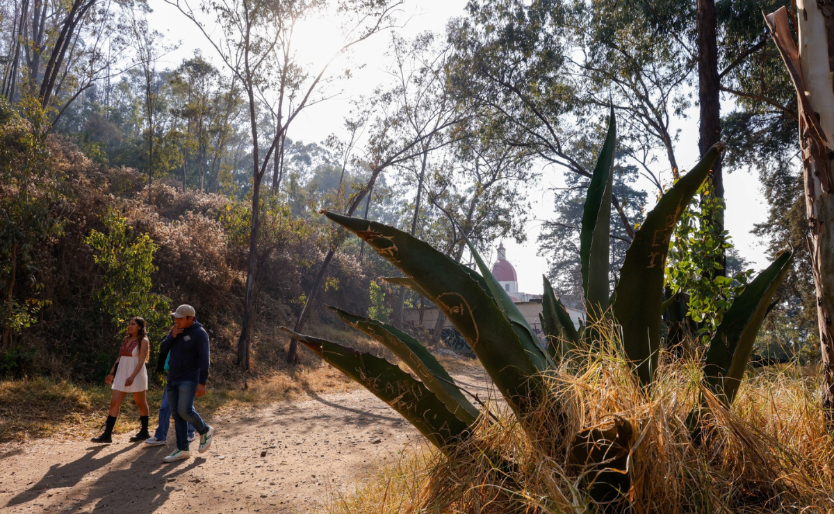 El nuevo cronista de Metepec destaca la importancia histórica del Cerro, antiguo sitio de sacrificios. Foto: Arturo Hernández