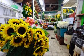 Flores subirán hasta un 50% por el Día del Amor y la Amistad en el Edomex
