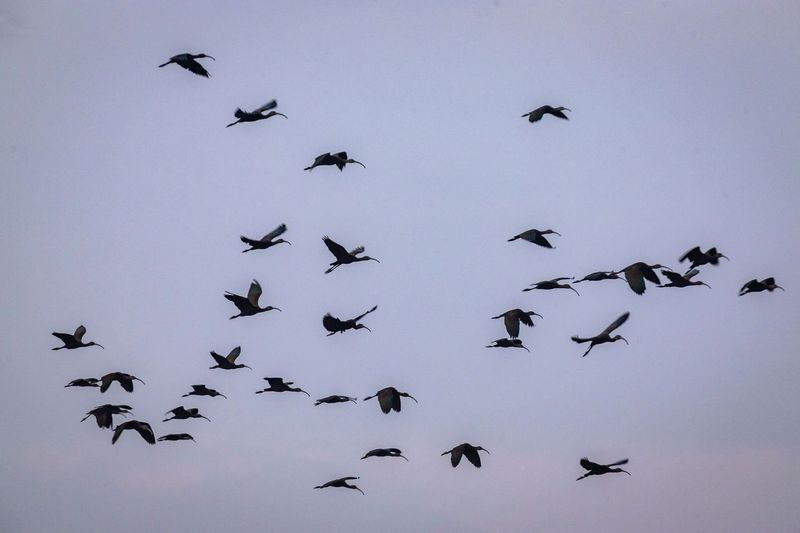 La zona cuenta con 20 hectáreas, además de 16 de espejo de agua. Foto Especial