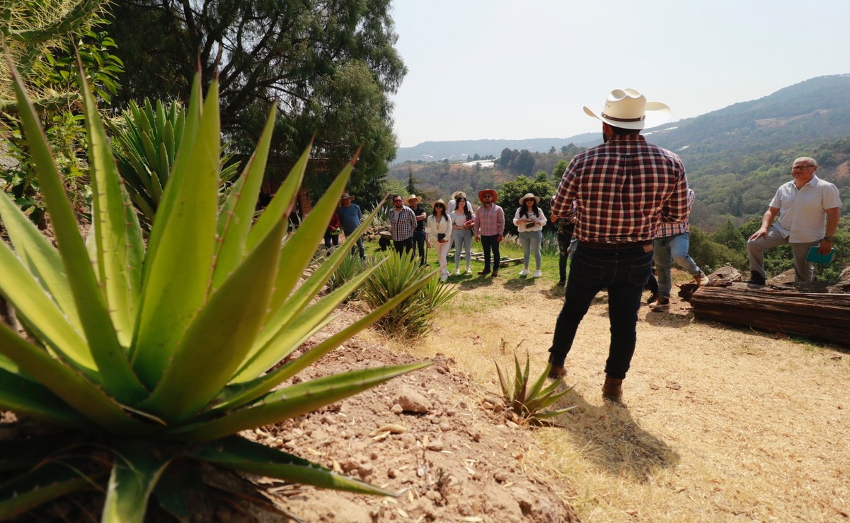 Los productores trabajan conjuntamente con cámaras empresariales y el Gobierno del Estado de México, para ofrecer  recorridos y catas donde los visitantes conocen el proceso de la bebida y la importancia de la sustentabilidad. Foto: Especial