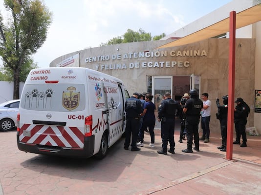 Clausuran clínica veterinaria en Ecatepec por maltrato animal; rescatan a 25 ejemplares