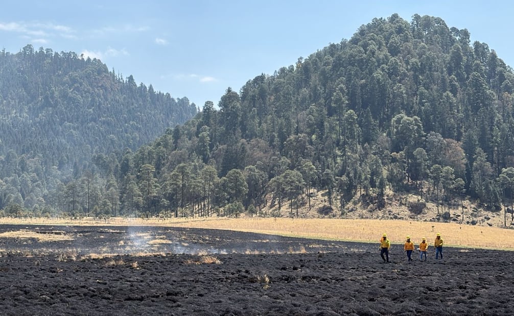 Los "dragones" de Probosque realizan quemas controladas para eliminar pastizales secos y proteger el arbolado adulto. Foto Claudia Rodríguez / El Universal