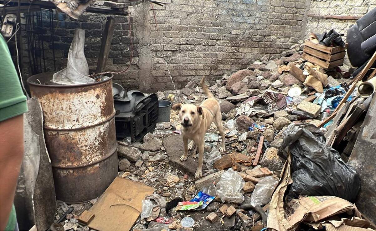Uno de ellos estaba encadenado / Foto Especial