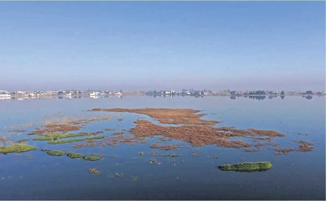 Actualmente los niveles en la Laguna de Palmillas se encuentran al 80% de capacidad total. Foto: Jorge Alvarado