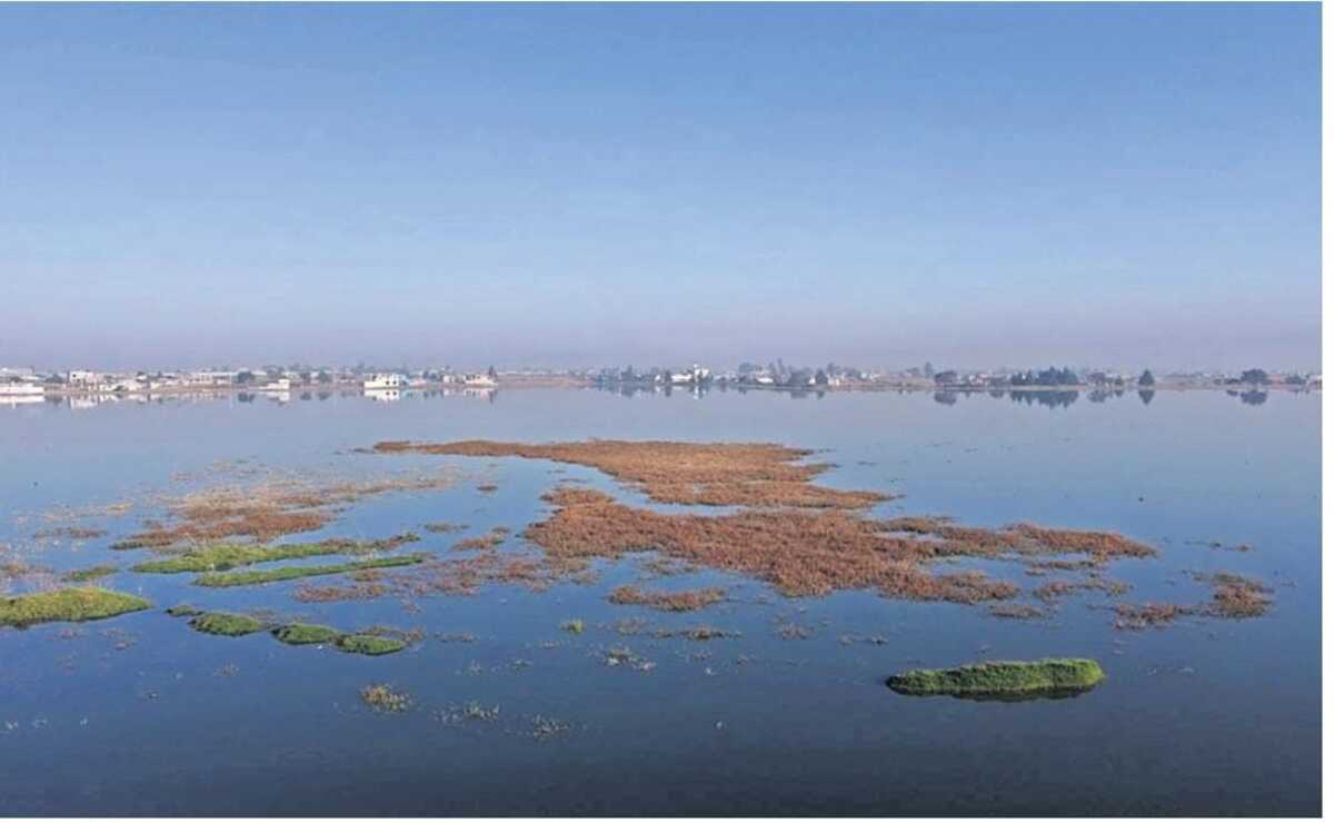 Actualmente los niveles en la Laguna de Palmillas se encuentran al 80% de capacidad total. Foto: Jorge Alvarado