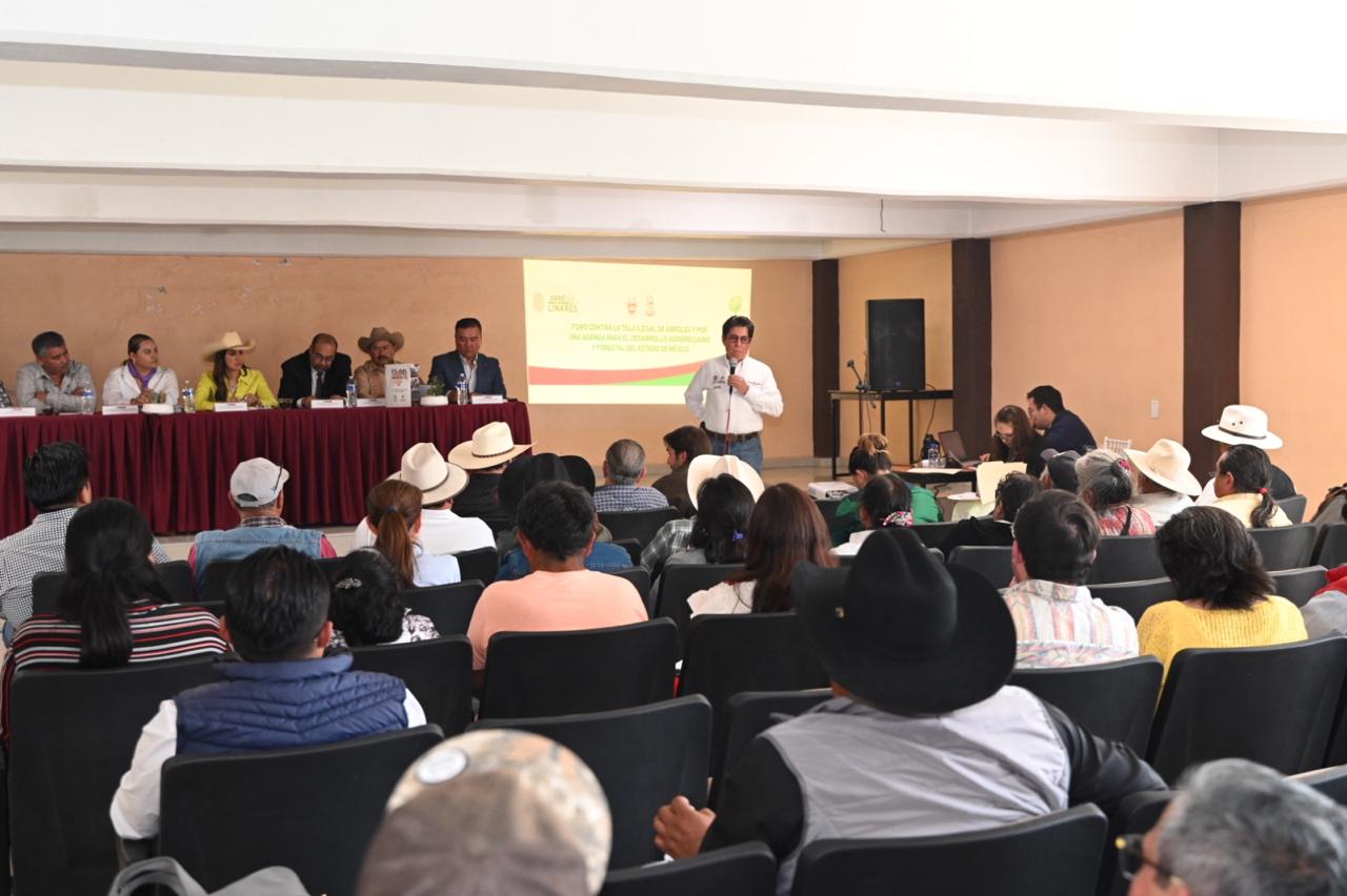 La tala ilegal, los incendios y la sequía amenazan los bosques del Edomex, afirmaron autoridades. Foto Especial