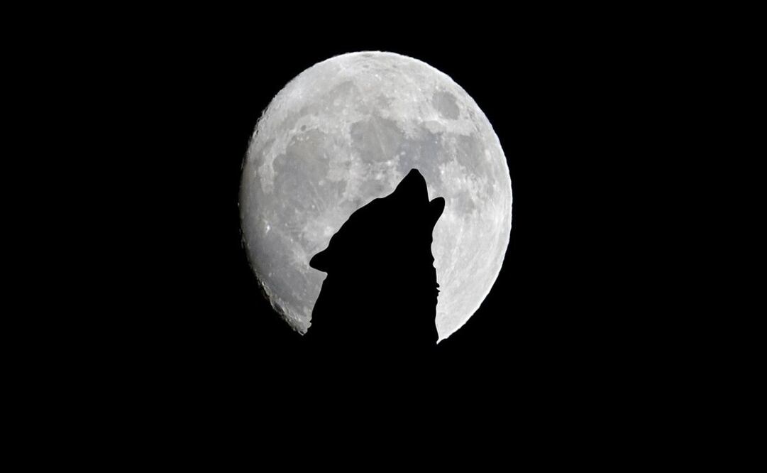 Descubre cuándo y cómo ver la Luna de Lobo 2025. Foto: Especial