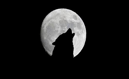 Luna de Lobo 2025: Significado, fecha y cómo observarla en enero
