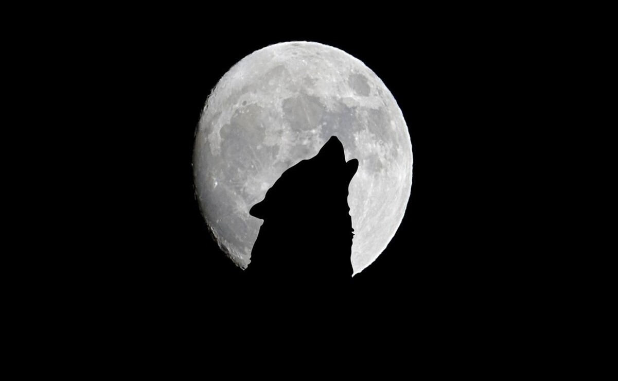 Luna de Lobo 2025: Significado, fecha y cómo observarla en enero