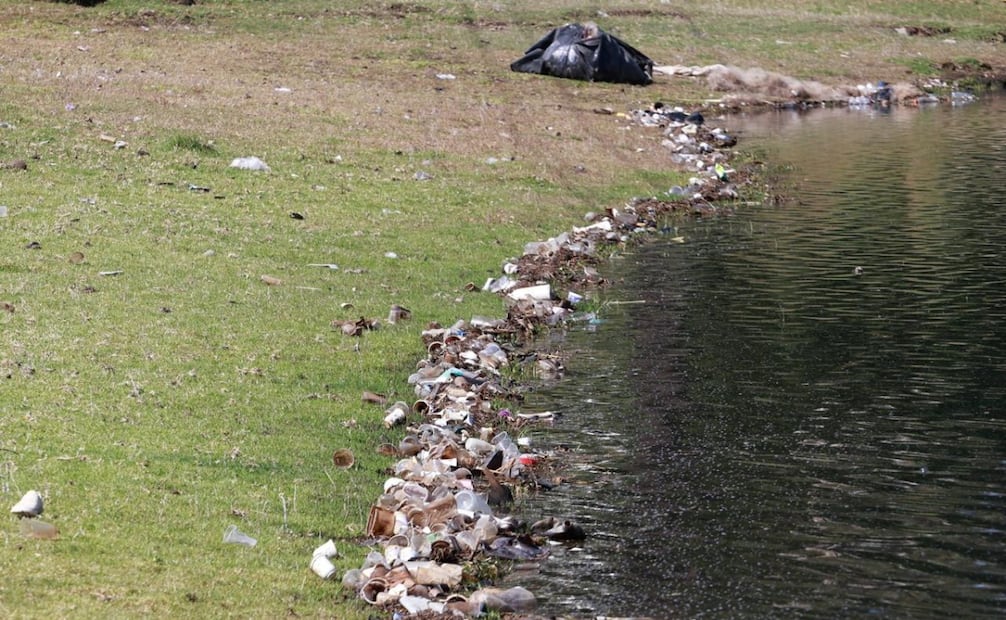 El transporte y comercialización ilegal de productos forestales será sancionado con multas de hasta 175 mil pesos y 20 años de prisión. Foto Alejandro Vargas / El Universal
