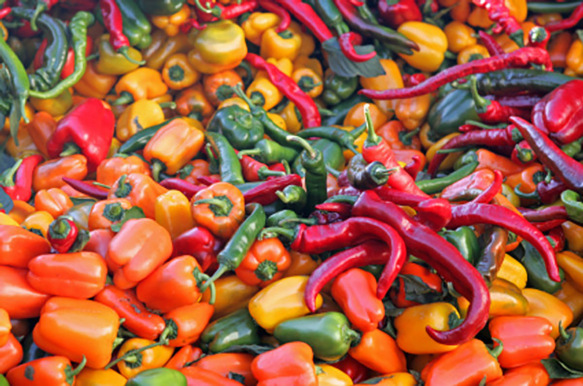 El chile es un ingrediente fundamental en la cocina mexicana