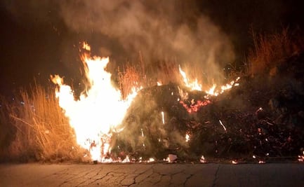 Texcoco: Detienen a hombre por incendio de pastizal que dañó árboles