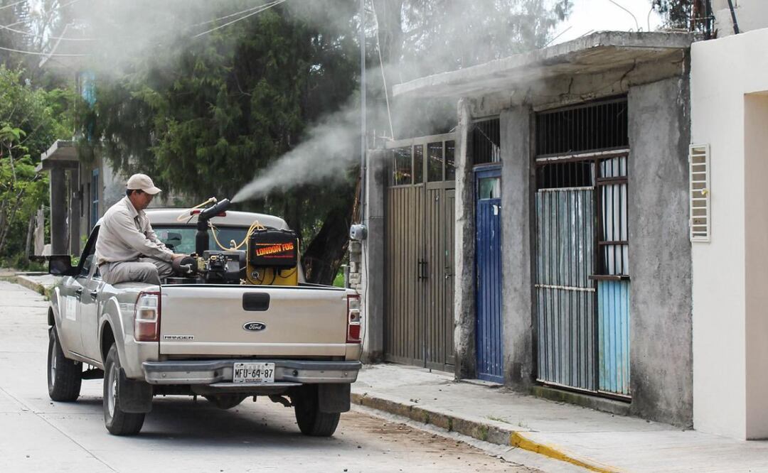 Eliminar los criaderos de mosquitos es fundamental para prevenir la propagación del dengue. Foto: Especial
