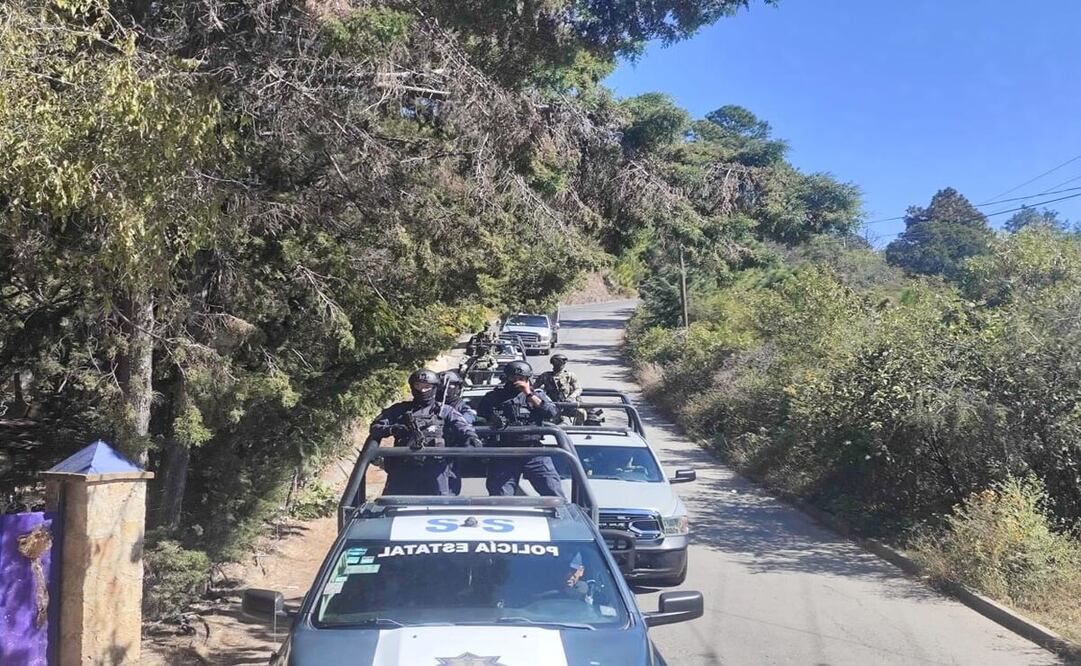 El Operativo Sur se realiza por la SSEM y la SEMAR del Edomex en los municipios de Coatepec Harinas y Villa Guerrero. Foto: Especial