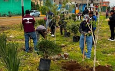 Rescatan tiradero para convertirlo en parque; Edomex se suma a la Jornada Nacional de Reforestación